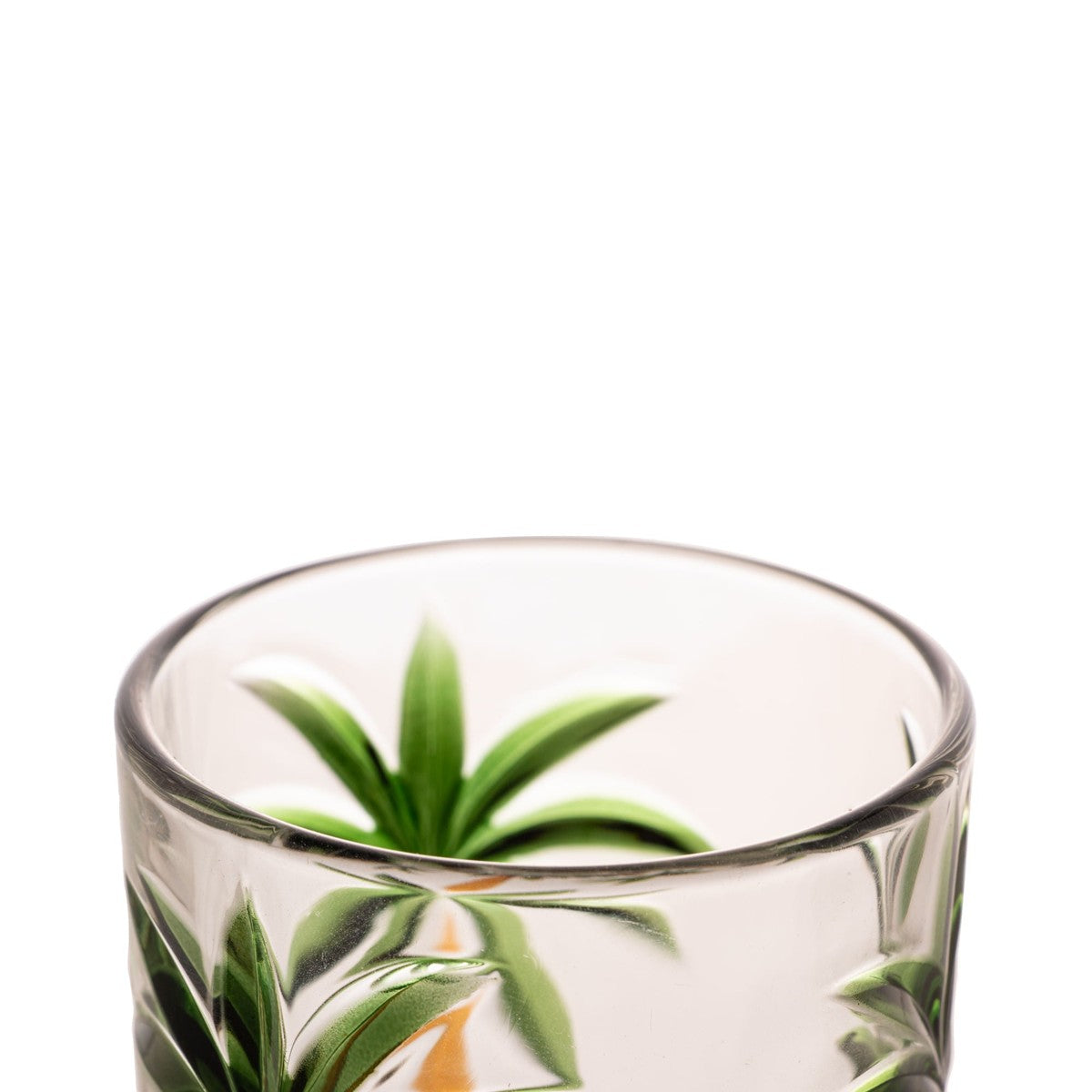 Jogo 6 Copos Altos em Cristal Palm Tree 360ml